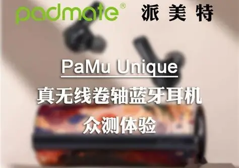 派美特